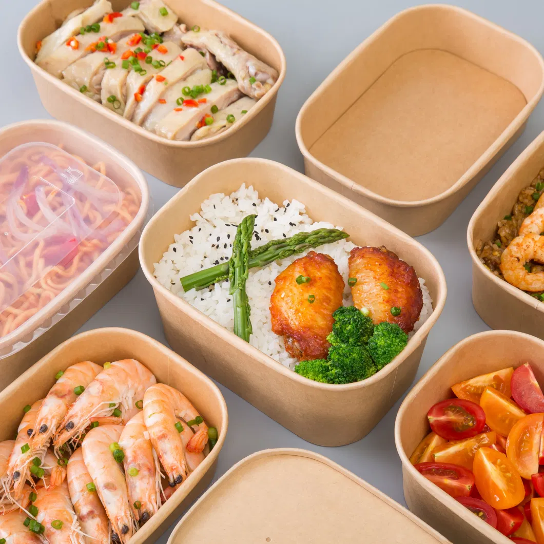 Disposable Food Grade Microwavable Lunch Box Burger Fries Various Size and Used Takeaway Salad Bowl Kraft Paper Box with Plastic Lid