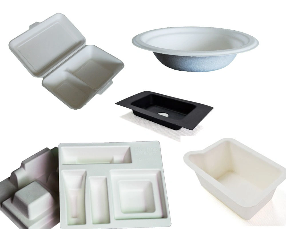 FSC Certificate Bagasse Pulp Biodegradable Clamshell Paper Lunch Takeaway Food Packaging Containers