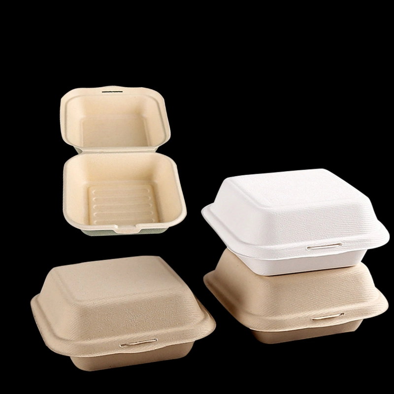 Disposable Biodegradable Paper Lunch Box Sugarcane Bagasse Clamshell Burger Take out Box