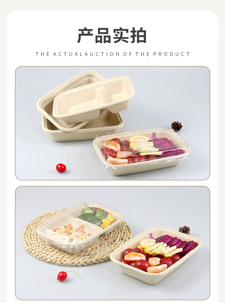 Compartment Box Sugarcane Bagasse Microwave Paper Bento Takeaway Lunch Containers Disposable Lunch Boxes Food Container