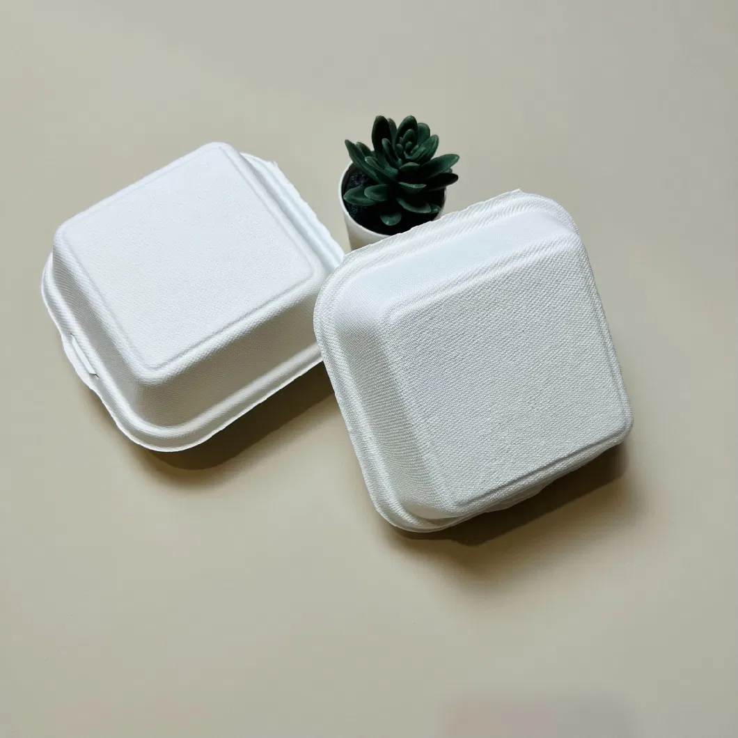 Biodegradable Disposable Hamburger Box Sugarcane Bagasse Paper Pulp Lunch 6 Inch Box