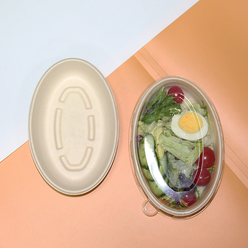 Eco 100% Compostable Eco-Food Packaging One Single Use Biocane Plate Salad Plate Oval Paper Bowl Dinnerware Set Menu Bowl Sugarcane Fiber Bowl with Clear Window