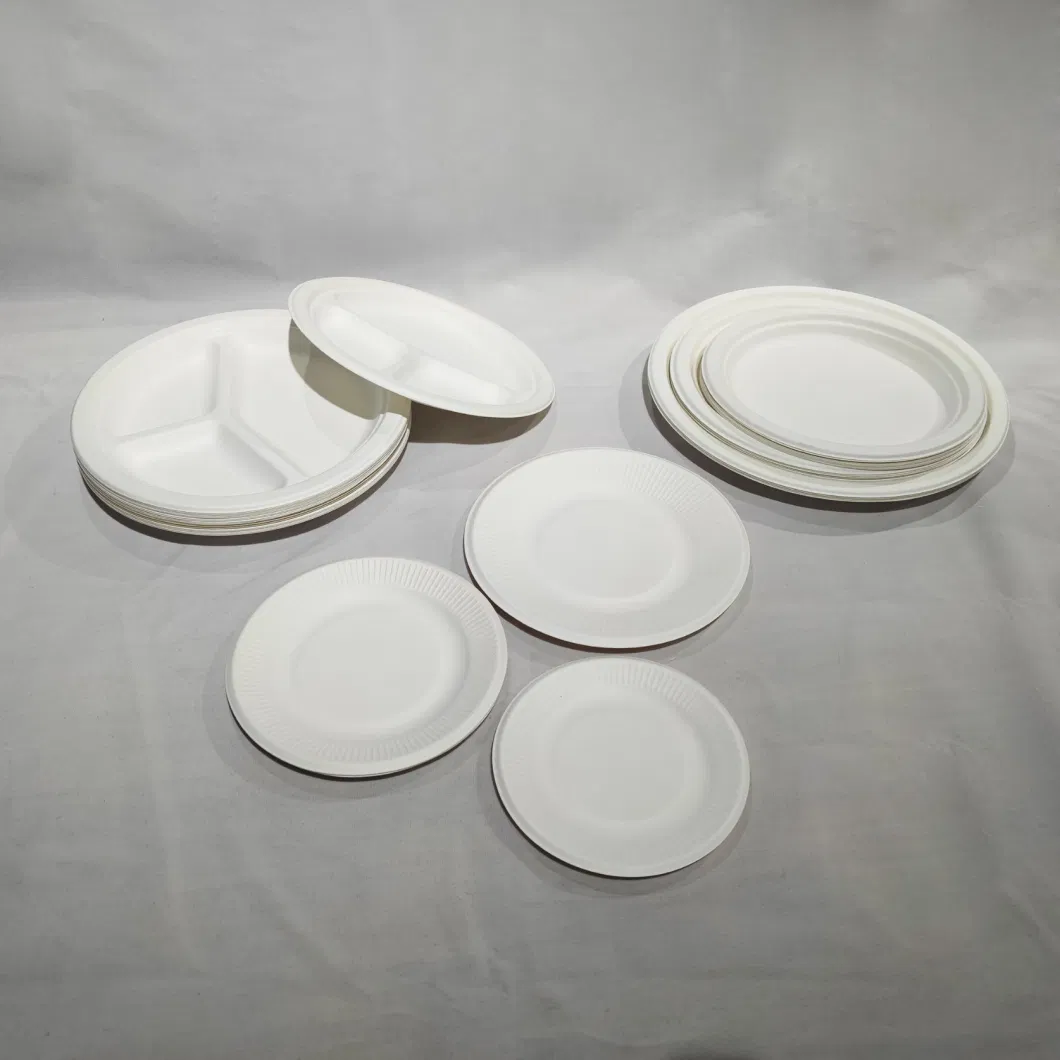 to Go Paper Plates Popular Favorable Picnic Sugarcane Bagasse Big Food Party Disposable Plates and Bowls