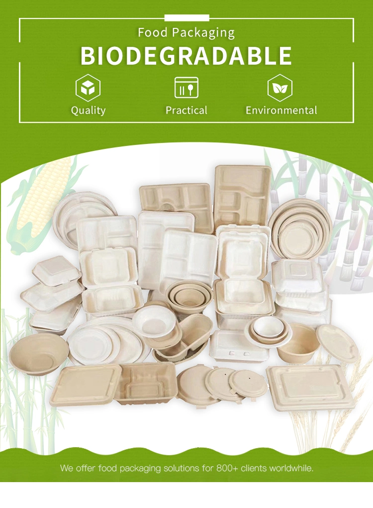 Eco-Friendly Biodegradable Food Takeaway Container Disposable Food Paper Box Packaging