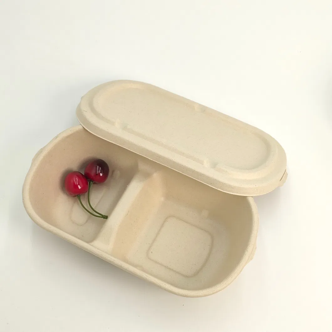 Biodegradable Disposable Takeaway Tableware Dinnerware Compostable Sugarcane Bagasse Pulp Paper Tray to Go Packaging Food Container Lunch Clamshell Box