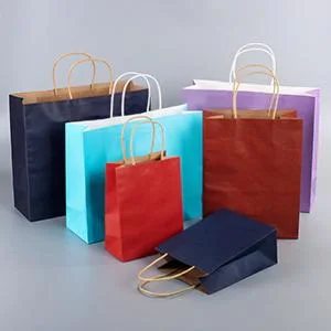 Large Biodegradable Kraft Paper Bags with Handles, Brown Paper Bag