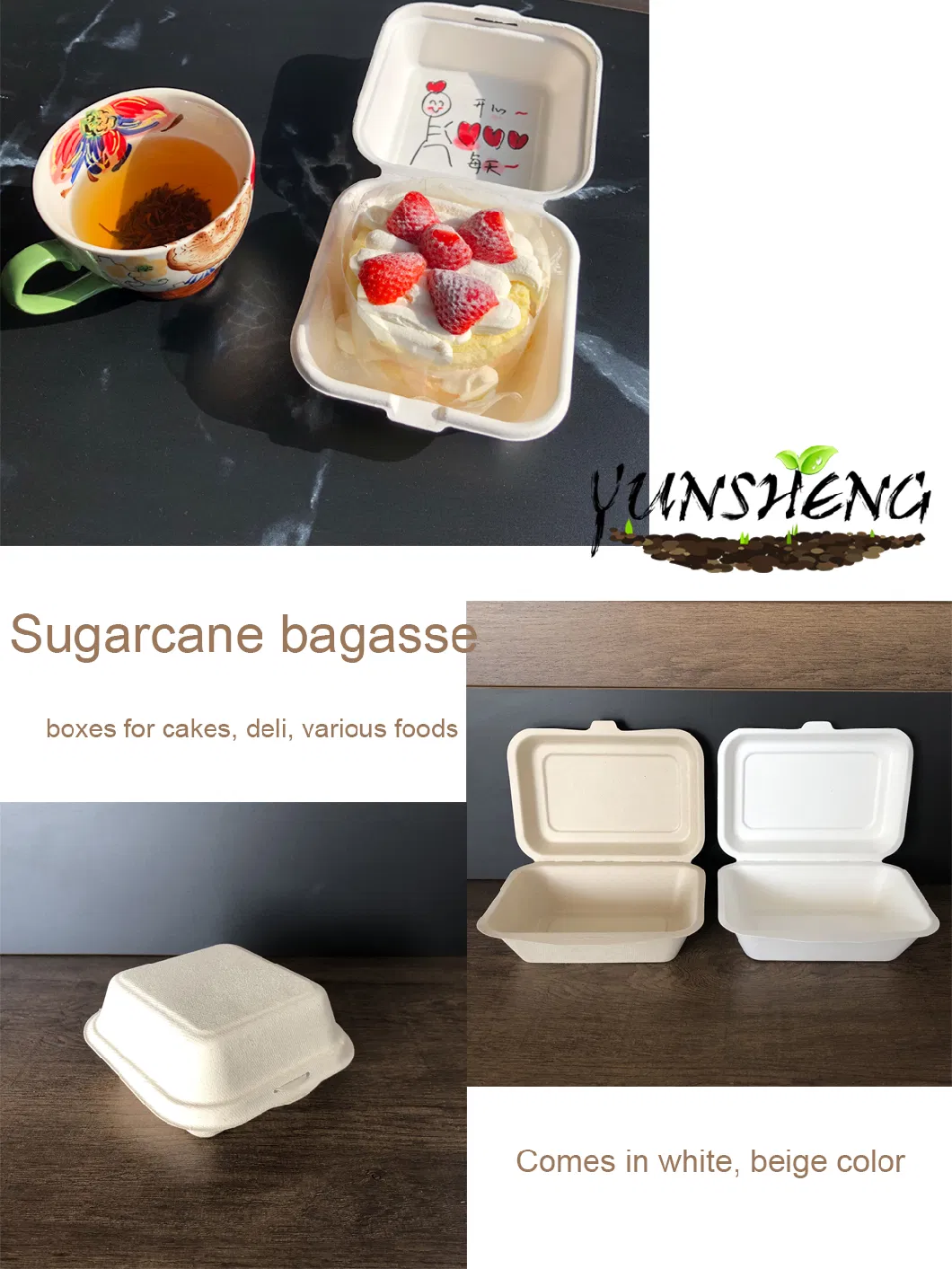 Disposable Food Container Packaging Box Biodegradable Paper/Packing/Storage/Packaging/Lunch Box Sugarcane Bagase 850ml 1000ml