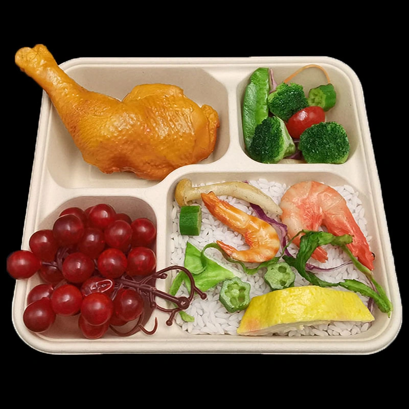 Disposable Biodegradable Paper Lunch Box Sugarcane Bagasse Clamshell Burger Take out Box