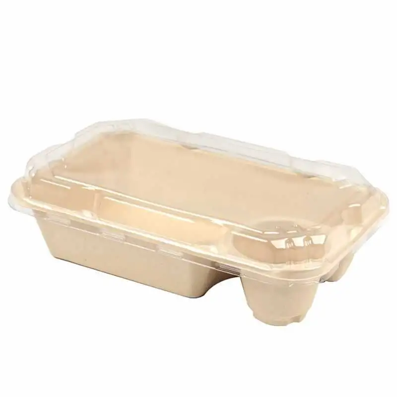 Biodegradable Disposable Paper Pulp Light Food Dumpling Box Salad Rectangular Box (HA-92)