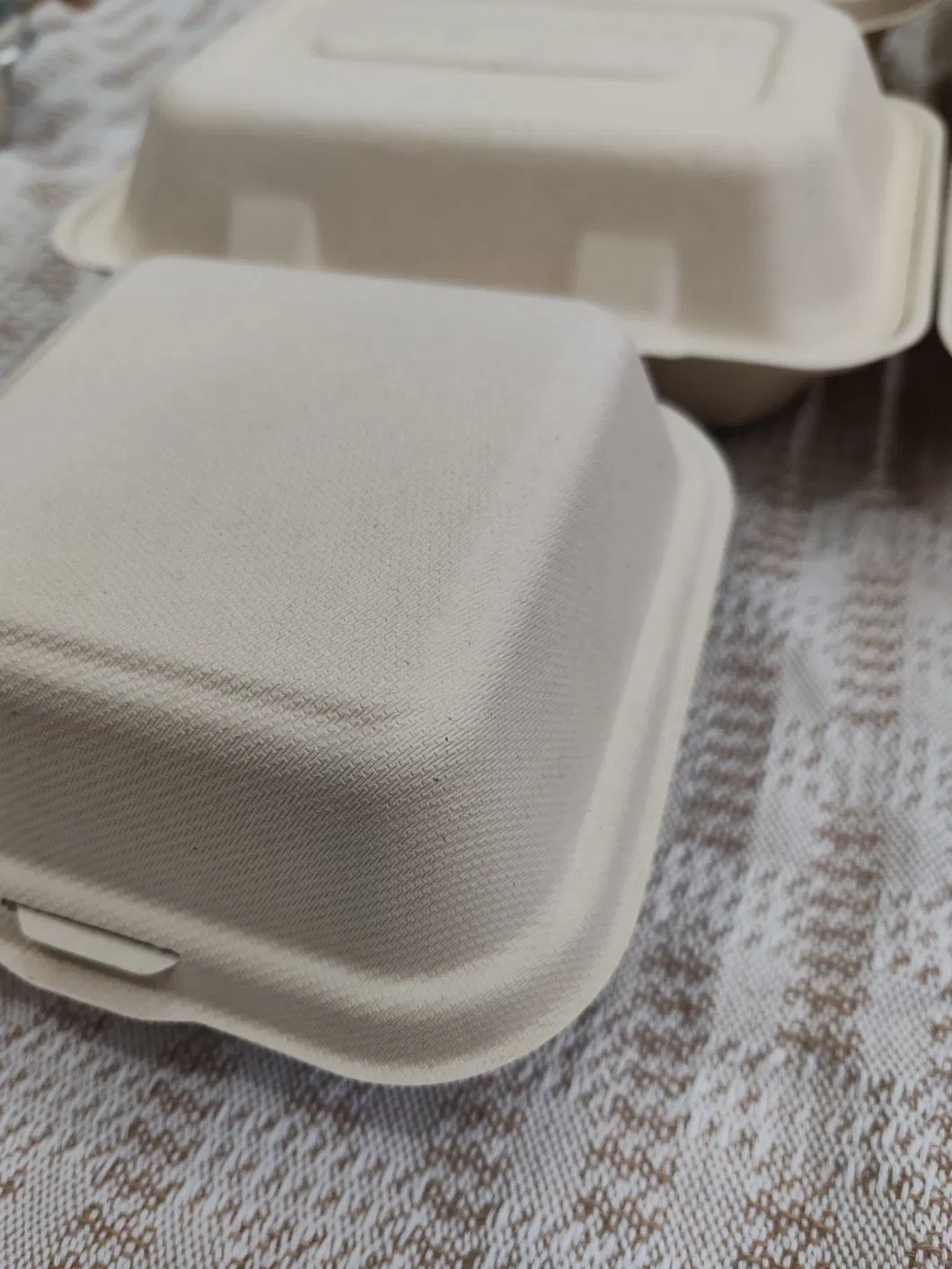 Biodegradable Container Food Takeaway Packaging Sugarcane Bagasse Pulp Paper Lunch Hamburger Box