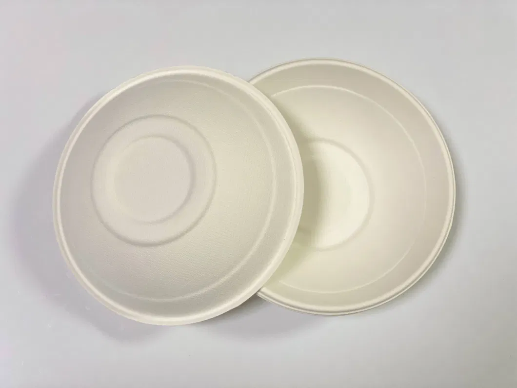 Disposable Biodegradable Sugarcane Eco-Friendly Paper Bowl Takeaway Container