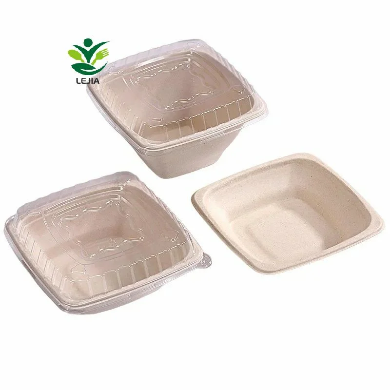 Square Wholesale Microwavable Sugarcane Bagasse Pulp Disposable Paper Bowl