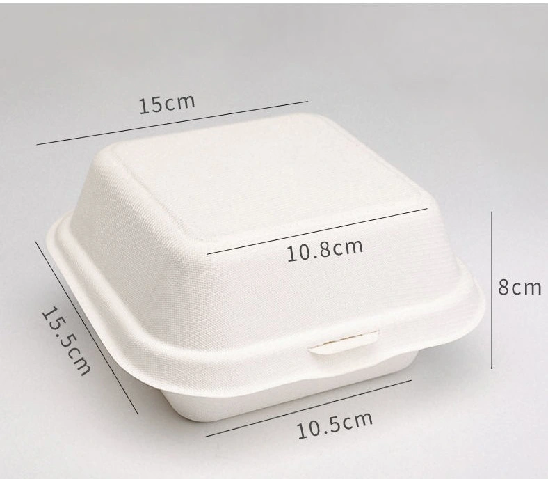 Degradable Paper Pulp Meal Boxes Salad Burger Fruit and Vegetable Cake Meal Box