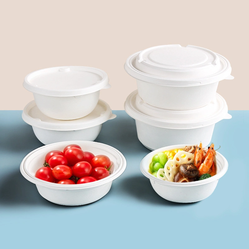 Disposable Biodegradable Paper Lunch Box Sugarcane Bagasse Clamshell Burger Take out Box