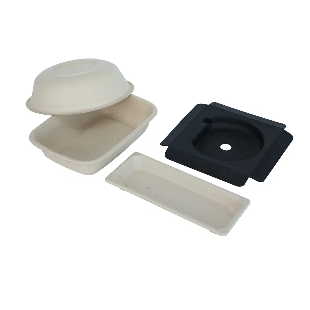 FSC Certificate Bagasse Pulp Biodegradable Clamshell Paper Lunch Takeaway Food Packaging Containers