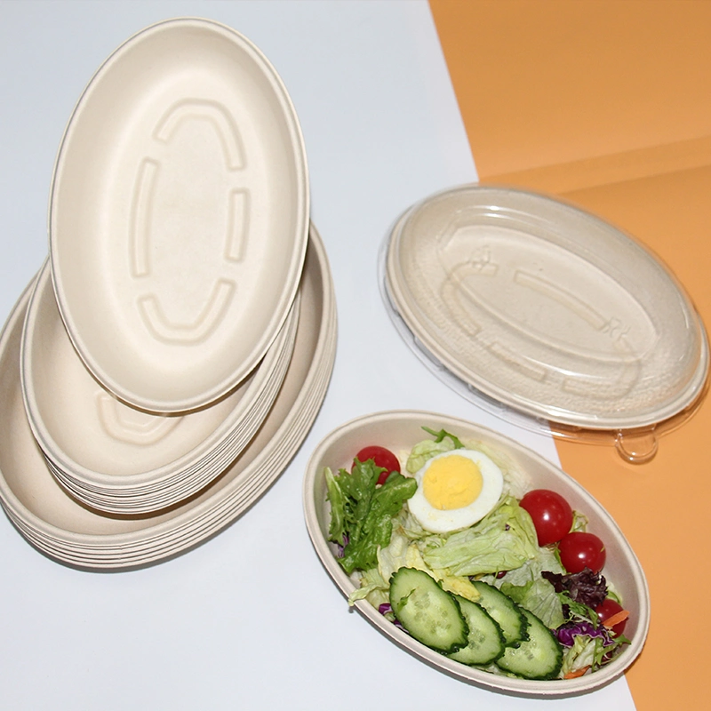 Eco 100% Compostable Eco-Food Packaging One Single Use Biocane Plate Salad Plate Oval Paper Bowl Dinnerware Set Menu Bowl Sugarcane Fiber Bowl with Clear Window