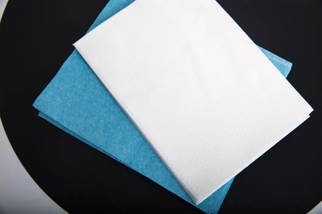 Cleanroom Polyester Paper Color: Blue/White