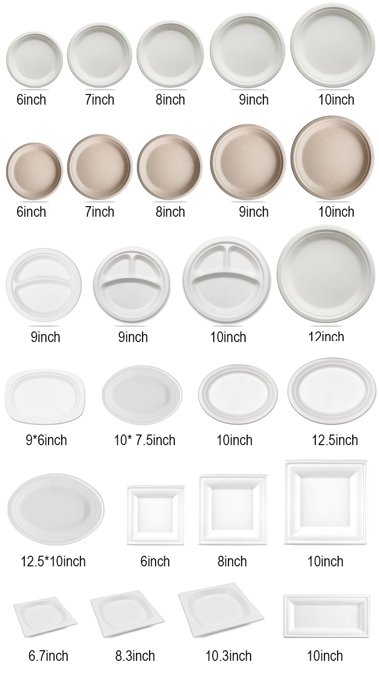 Biodegradable Disposable Sugarcane Bagasse &amp; Bamboo Pulp Paper Plate for Dinner