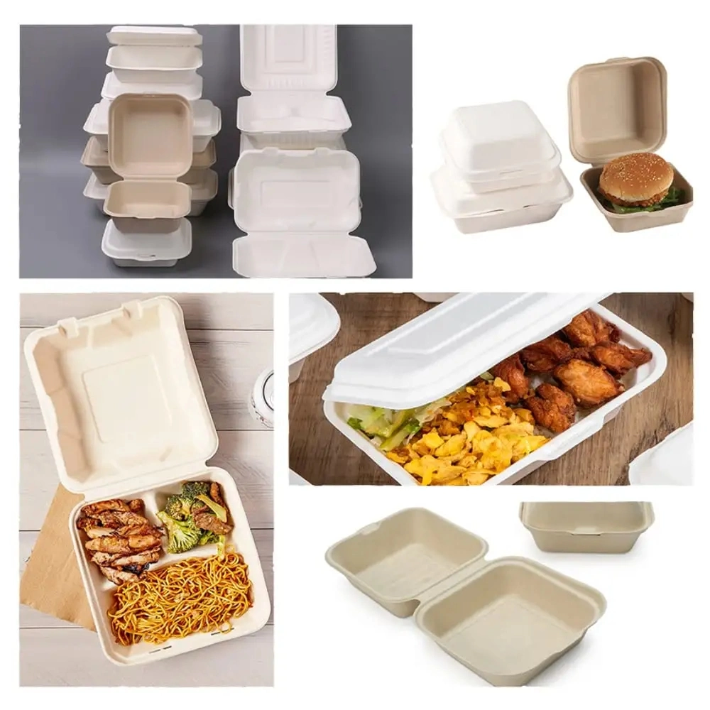 Biodegradable Disposable Takeaway Food Container Bagasse Paper Food Box Fruit and Vegetable Takeaway Container