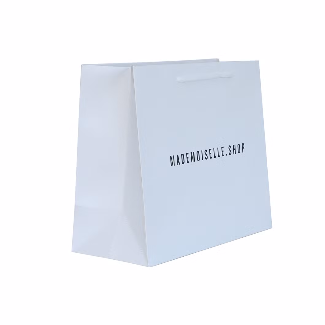 FSC Certificated China Factory Wholesale Luxury High Quality Custom PP Handle Paper Shopping Packaging Tote Gift Bags with Ribbon Closed Garment Bag