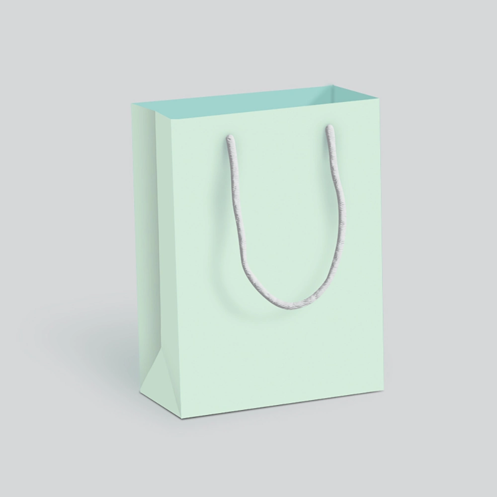 Fashion Custom Paper Gift Pag Carrier Shopping Bag Jewelry Paper Bag