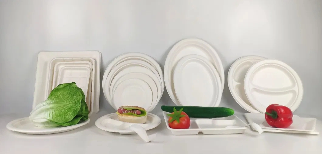 3-Compartments Sugarcane Bagasse Tableware Plates