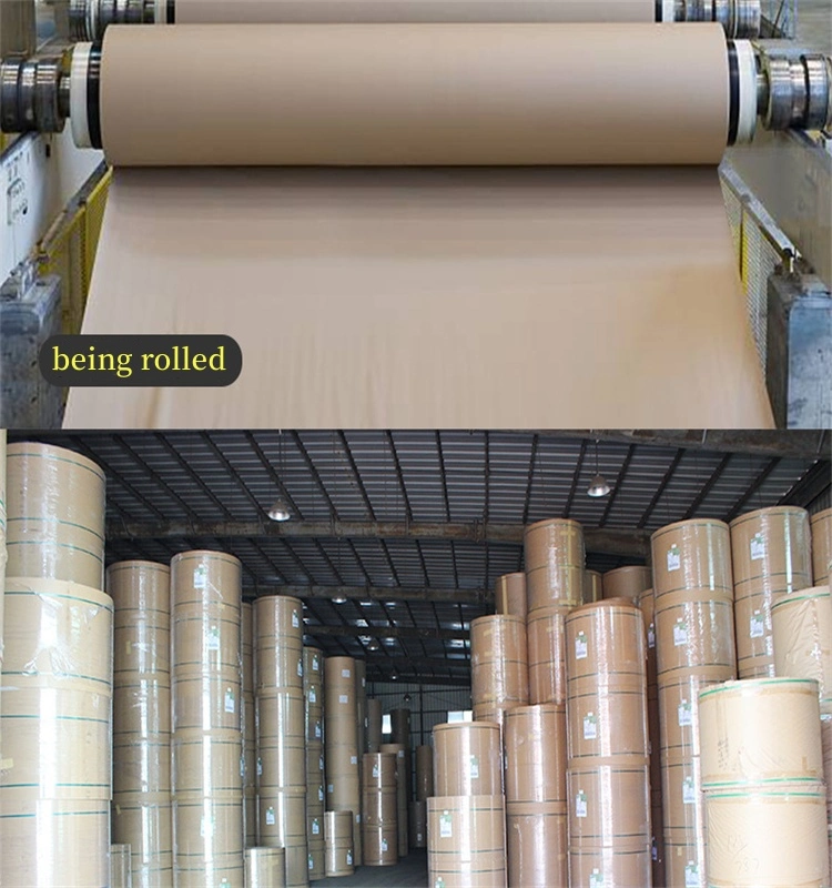 Kraft Paper Paper Rolls for Box Package