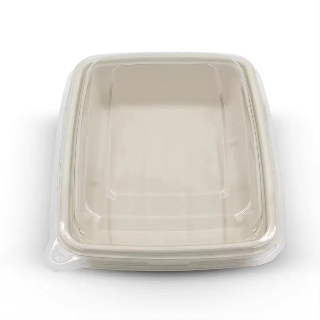 100% Biodegradable 10 Inch 3 Compartment Sugarcane Pulp Bagasse Plate