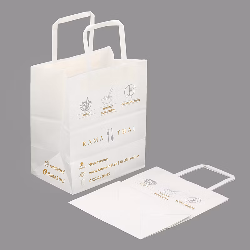 Manufacturer China Wholesale Handles Takeaway Biodegradable Multi-Color Shopping Kraft Paper Bags for Sale