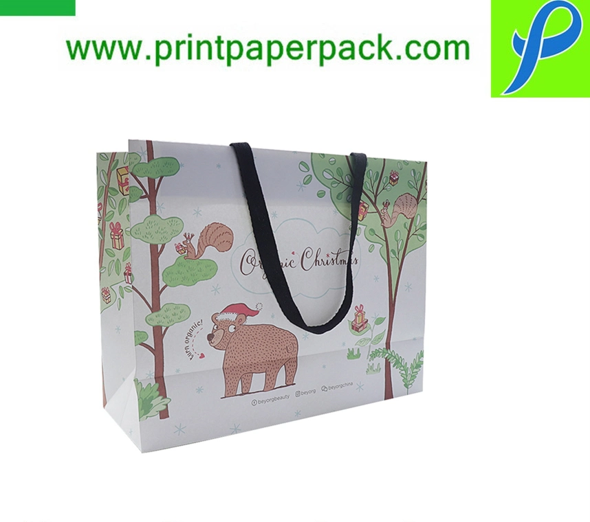 Luxury Branded Cardboard Paper Gift Bag with Grain and Rope Handle