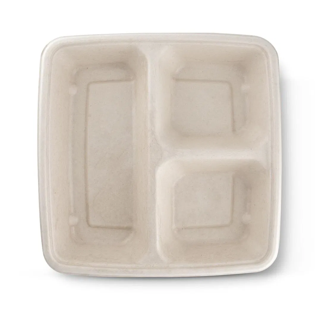 100% Biodegradable 10 Inch 3 Compartment Sugarcane Pulp Bagasse Plate