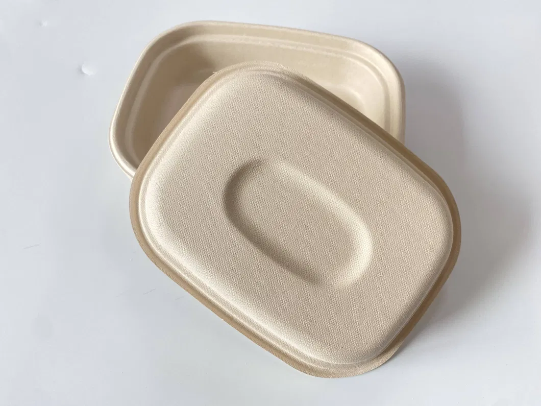 Eco Friendly 1100ml Brown White Rectangle Round Oval Square Hexagon Disposable Sugarcane Bagass Pulp Paper Salad Plates and Bowls