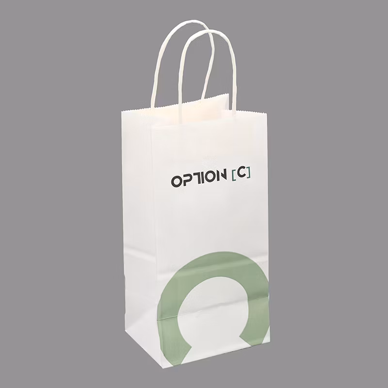 Manufacturer China Wholesale Handles Takeaway Biodegradable Multi-Color Shopping Kraft Paper Bags for Sale