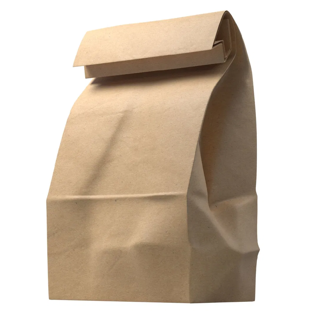 Wholesale Custom Size and Color Package Food Grade Take Away Resealable Brown Kraft Handle Paper Packaging Bags Popular Bread Cake Hamburger Hot Dog Bag