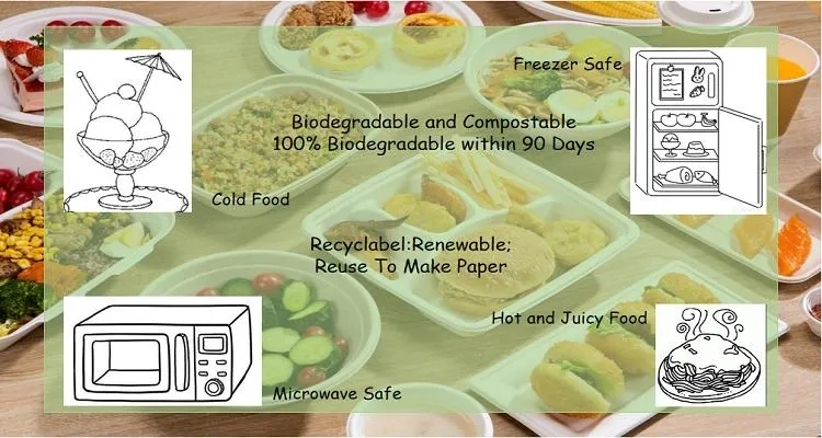 3-Compartments Sugarcane Bagasse Tableware Plates