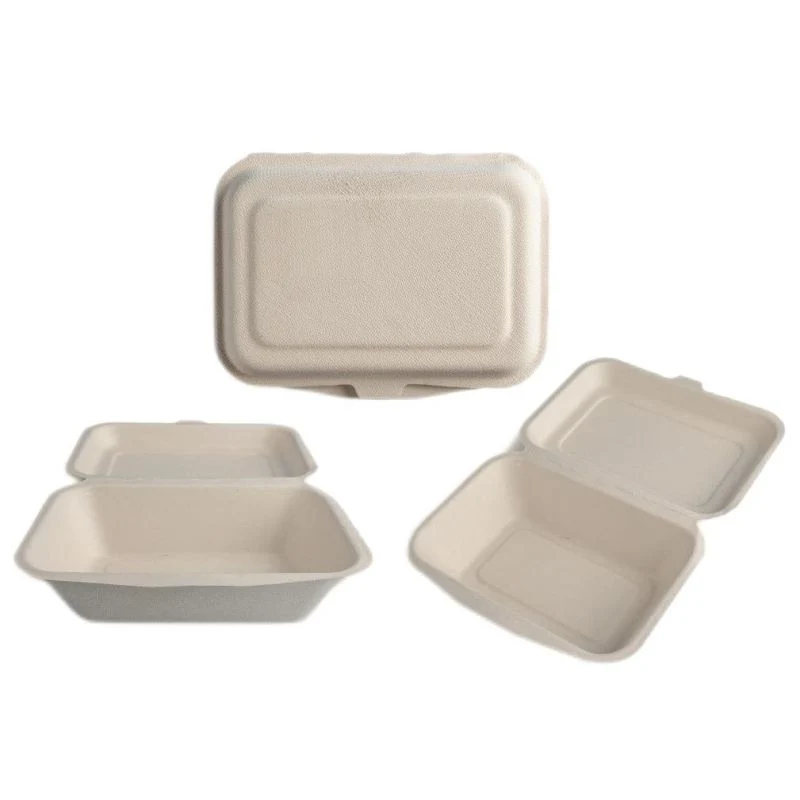 100% Biodegradable 10 Inch 3 Compartment Sugarcane Pulp Bagasse Plate