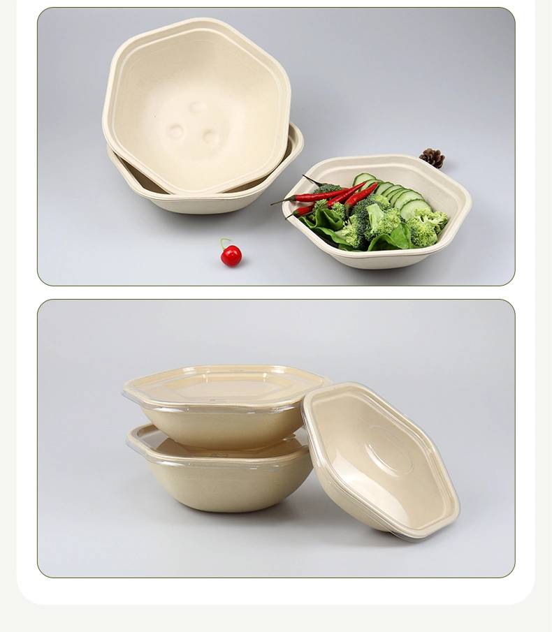 Eco Friendly Brown White Rectangle Round Square Hexagon Disposable Sugarcane Bagass Pulp Paper Salad Plates and Bowls Salad Box Food Boxes