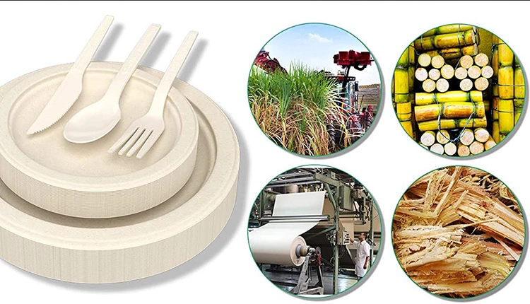 9 Inch 3-Compartment Round Bagasse Plate Biodegradable Sugarcane Plate