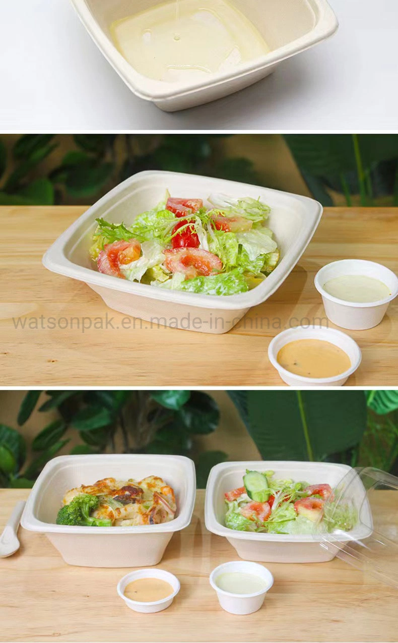 Eco-Friendly Snack Holder Biodegradable Food Tray Deep Plate Square Paper Bowls