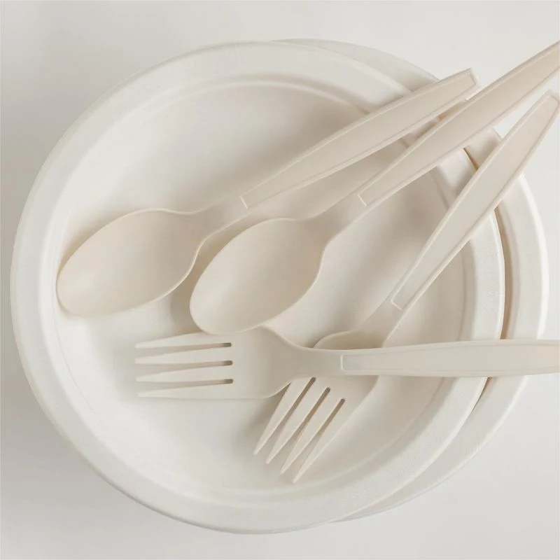 100% Biodegradable 10 Inch 3 Compartment Sugarcane Pulp Bagasse Plate