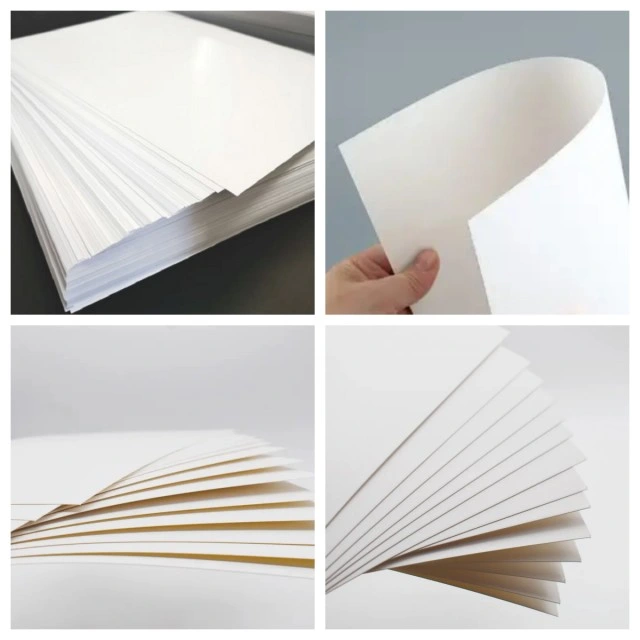 C1s Ivory Board / Folding Box Board / Fbb White Cardboard / C1s White Cardbaord Roll Paper