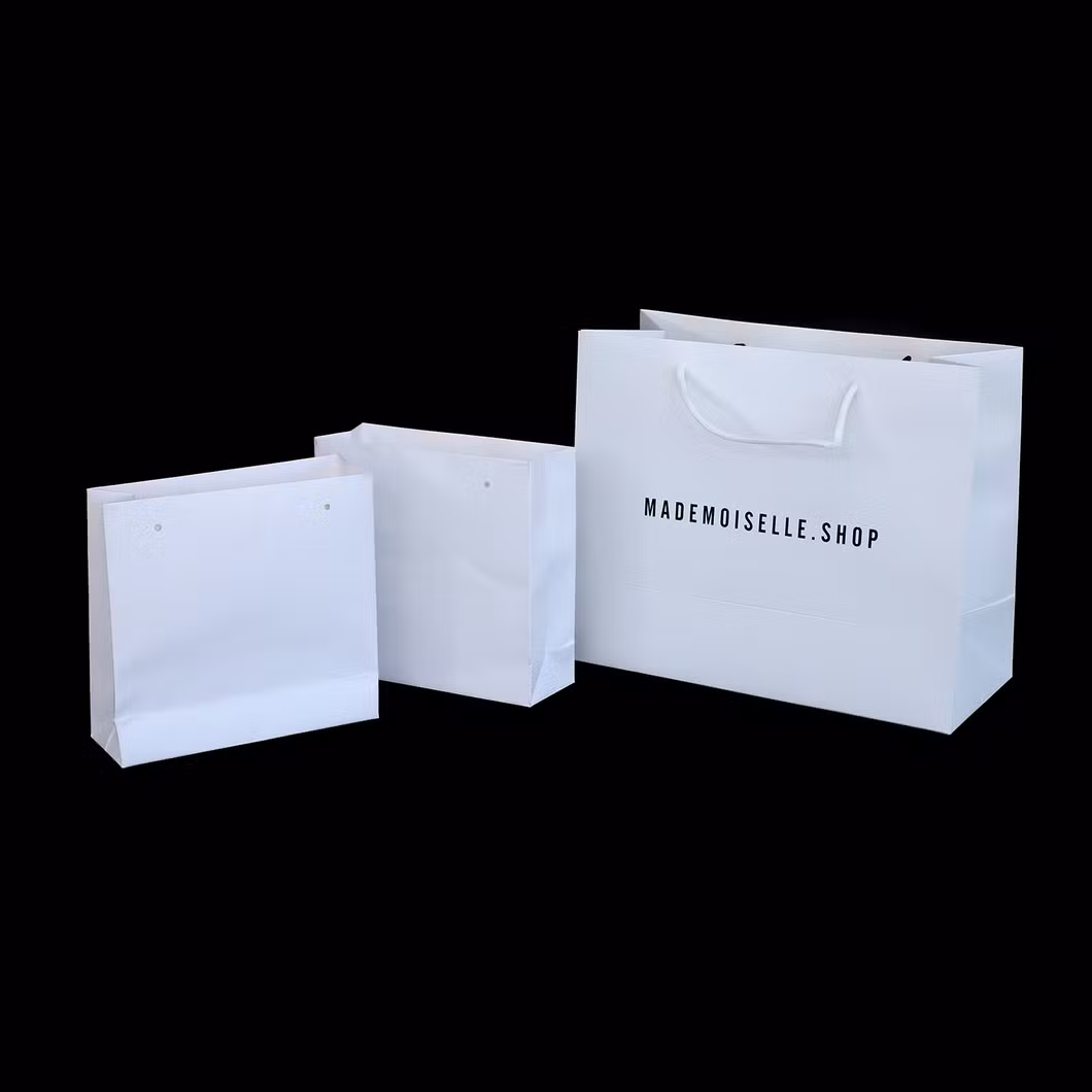 FSC Certificated China Factory Wholesale Luxury High Quality Custom PP Handle Paper Shopping Packaging Tote Gift Bags with Ribbon Closed Garment Bag