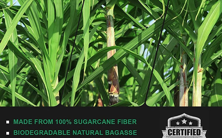 Biodegradable Disposable Sugarcane Bagasse &amp; Bamboo Pulp Paper Plate for Dinner