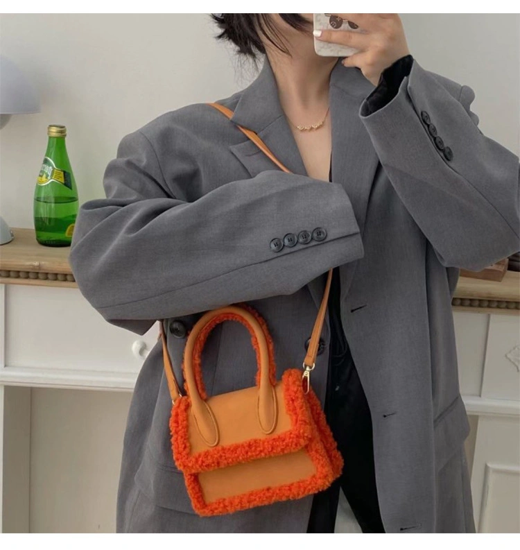 Latest Trendy Autumn and Winter Luxury Small Soft Plush Handle Custom Shoulder Bag Women