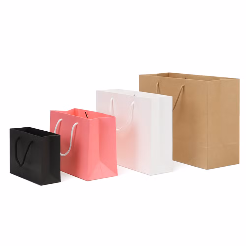 Factory Price Customizable Carrier Shopping Bags for Sale