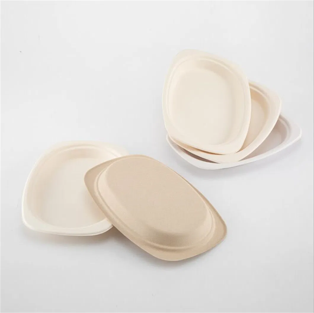 6inch Sugarcane Bagasse Disposable Hamburger Box