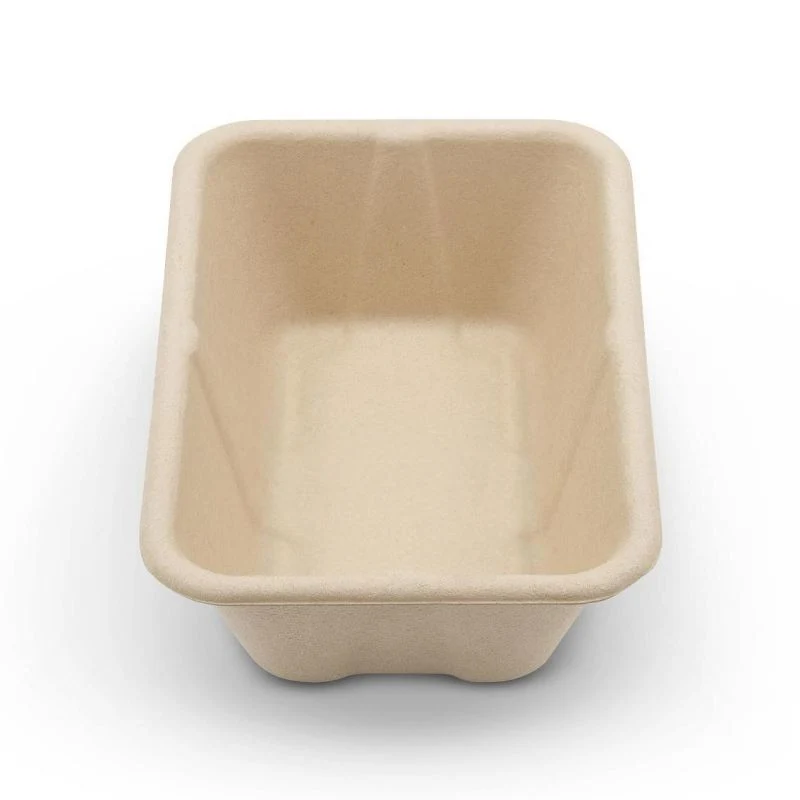 100% Biodegradable 10 Inch 3 Compartment Sugarcane Pulp Bagasse Plate