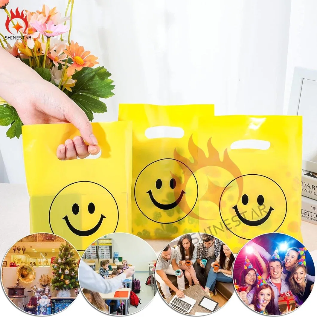 Small Plastic Merchandise Bag Plastic Shopping Bag with Handle for Business, Retail, Gift