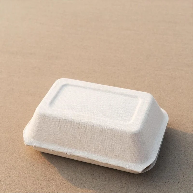 100% Biodegradable 10 Inch 3 Compartment Sugarcane Pulp Bagasse Plate