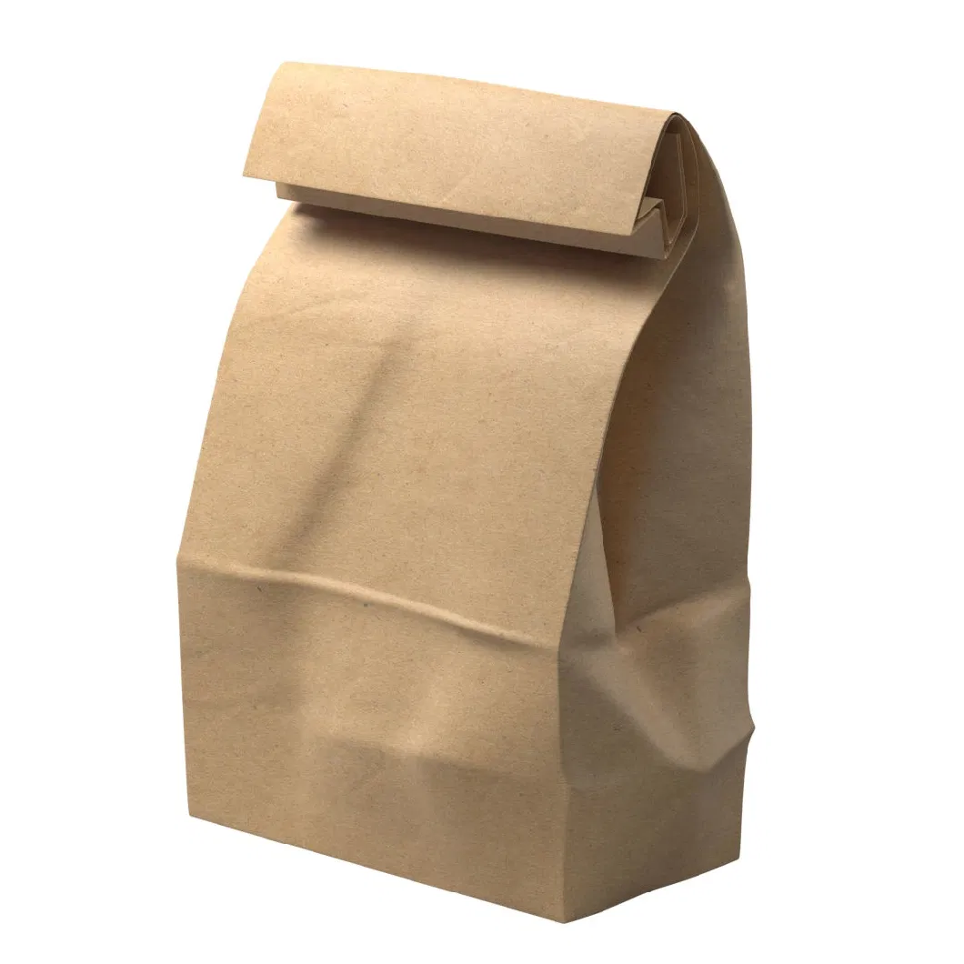 Wholesale Custom Size and Color Package Food Grade Take Away Resealable Brown Kraft Handle Paper Packaging Bags Popular Bread Cake Hamburger Hot Dog Bag